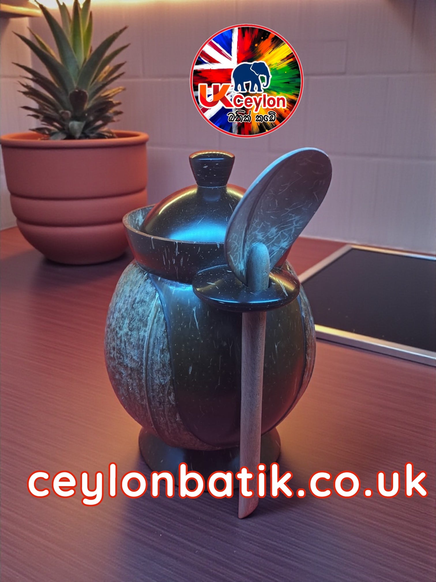 CocoSpice Artisan Salt Container Set|පොල්කටු ලුණු කුඩු බහාලන සමඟ හැන්ද